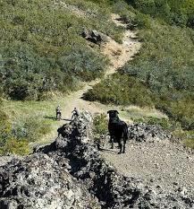 Oat Hill Mine Trailhead